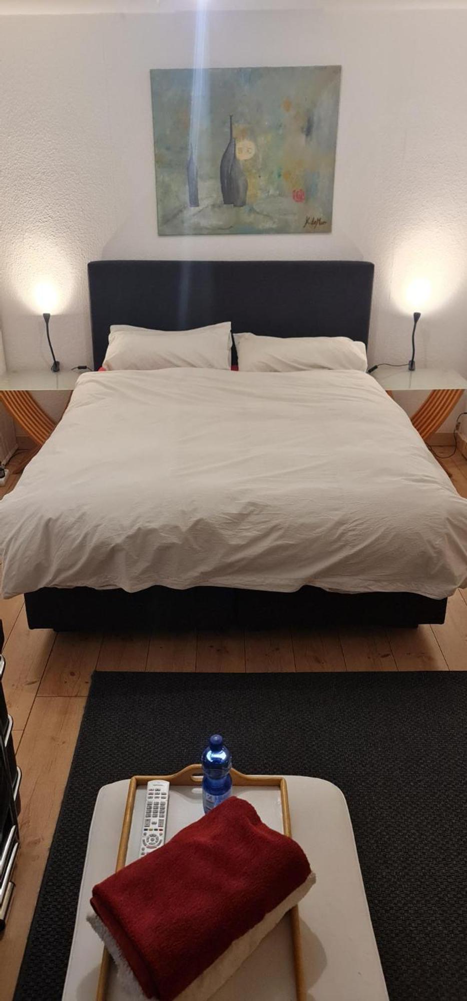Schoenste Lage Am Rhein In Unmittelbarer Stadtnaehe, B & B Cologne Room photo